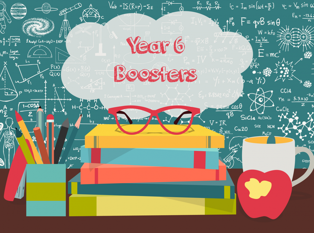Camblesforth Community Primary Academy » Year 6 Booster Clubs